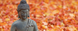Buddha and Vagus Nerve