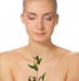 Sevani Advanced Complexion Corrector Helps Soothe the Symptoms of Rosacea