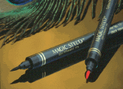 Semi Permanent Makeup Pens